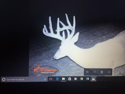 Property in Cumberland County, Kentucky