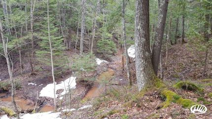 Property in Iron County, Wisconsin