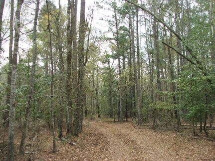 Ranch Property in Allendale County, South Carolina