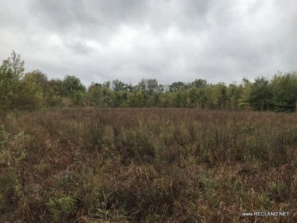 Residential Property in East Carroll Parish, Louisiana