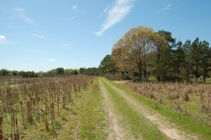 Timberland Property in Autauga County, Alabama