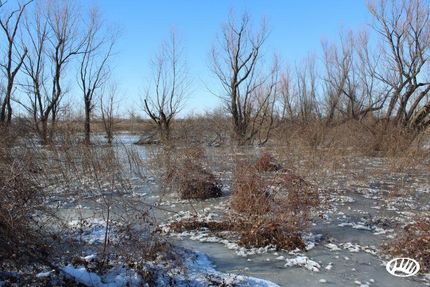 Property in Cross County, Arkansas