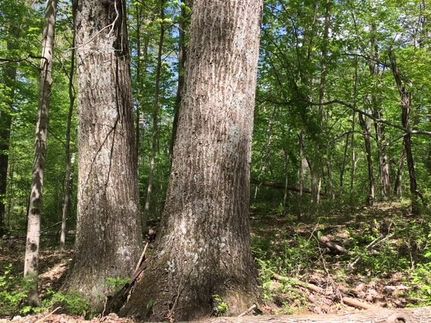 Farm Property in Clermont County, Ohio