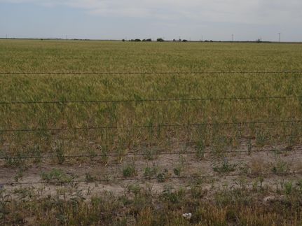 Farm Property in Haskell County, Texas