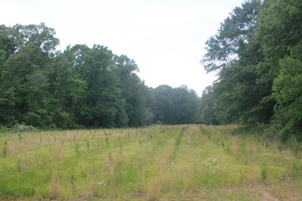 Residential Property in Marshall County, Mississippi