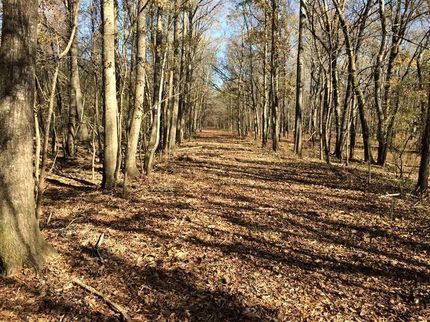 Recreational Property in Clay County, Mississippi