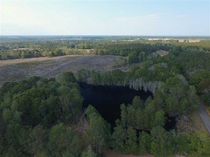 Property in Tattnall County, Georgia