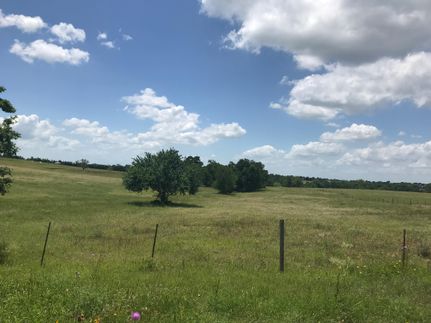 Timberland Property in Washington County, Texas