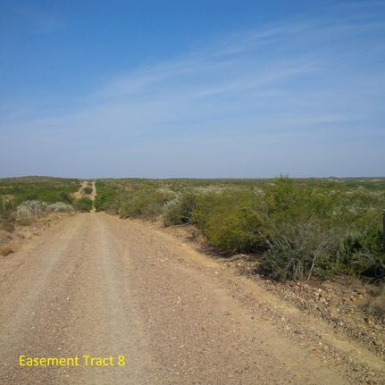 Undeveloped Land in Webb County, Texas