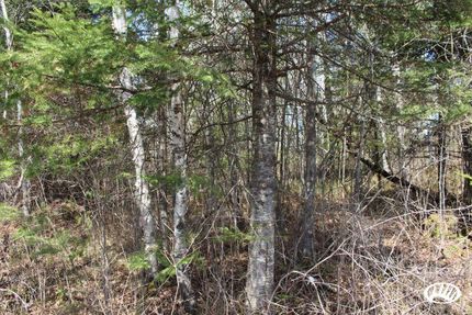 Farm Property in Aitkin County, Minnesota