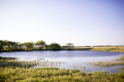 Property in Coryell County, Texas