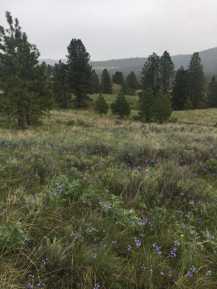Farm Property in Okanogan County, Washington