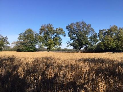 Ranch Property in Houston County, Georgia
