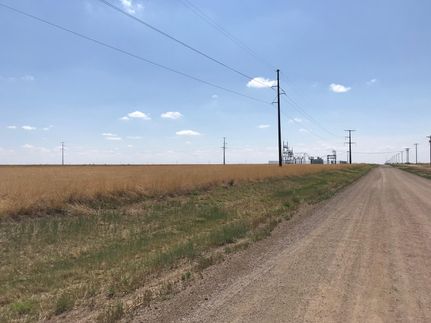 Undeveloped Land in Randall County, Texas