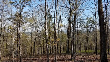 Recreational Property in Clay County, Alabama