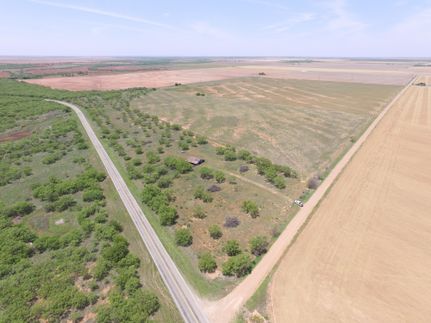 Timberland Property in Haskell County, Texas