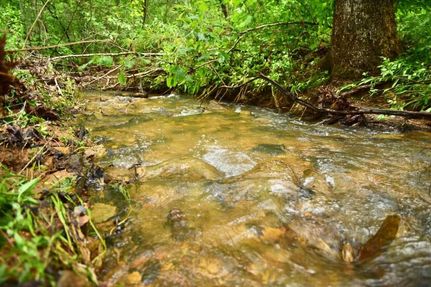 Farm Property in Coosa County, Alabama