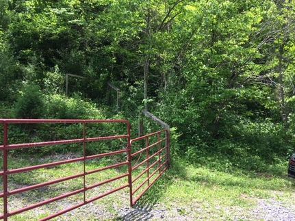 Property in Russell County, Virginia