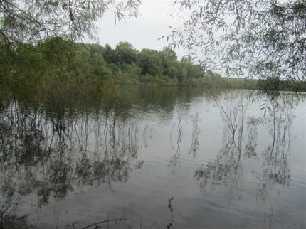 Property in Maury County, Tennessee