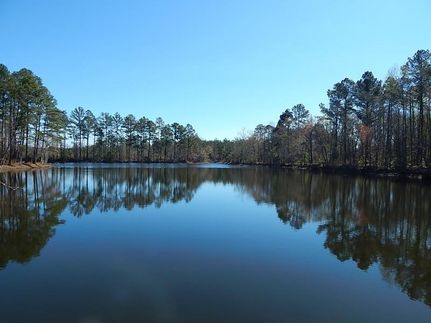 Property in Johnson County, Georgia