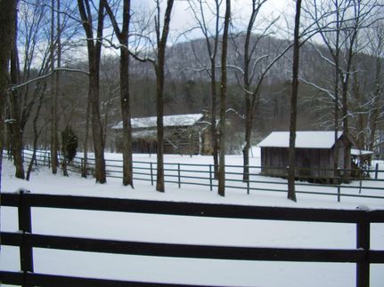 Ranch Property in Fannin County, Georgia