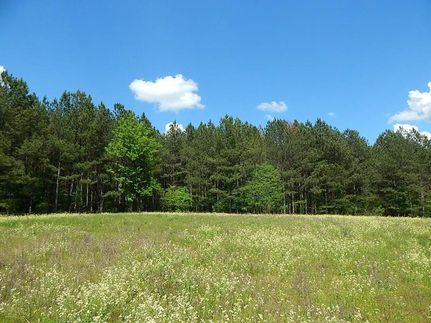 Property in Greene County, Georgia