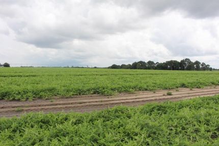 Property in Tift County, Georgia