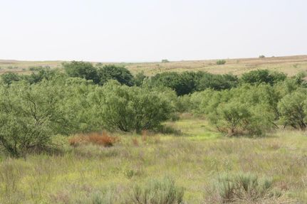 Ranch Property in Collingsworth County, Texas