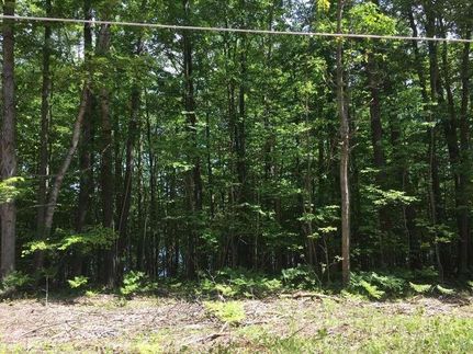 Farm Property in Mason County, Michigan