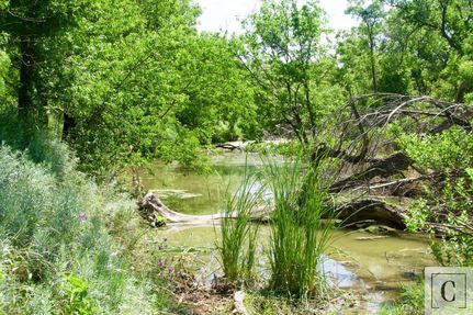 Property in Throckmorton County, Texas