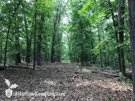 Farm Property in Fulton County, Arkansas