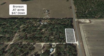 Property in Levy County, Florida