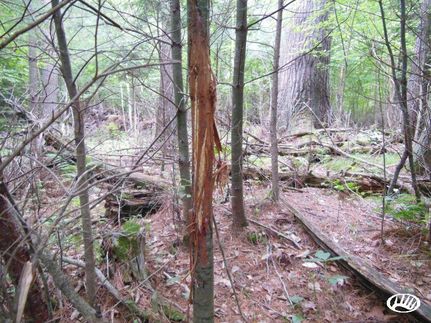 Property in Shawano County, Wisconsin