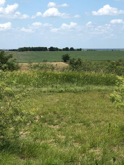 Property in Navarro County, Texas