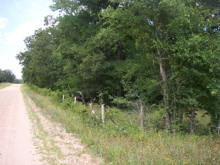 Ranch Property in Austin County, Texas