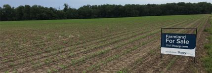 Recreational Property in Jasper County, Illinois
