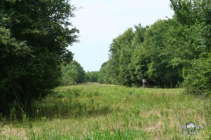 Farm Property in Caldwell Parish, Louisiana