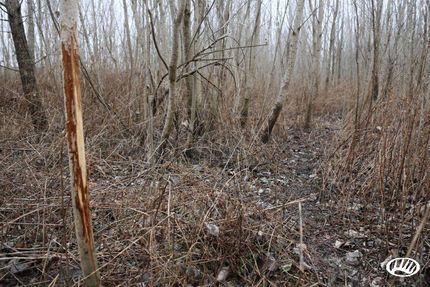 Property in Pike County, Missouri