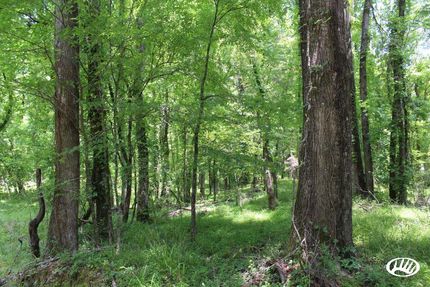 Property in Hinds County, Mississippi