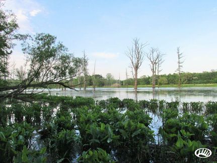 Ranch Property in Henderson County, Kentucky