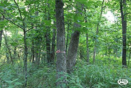 Property in Cass County, Missouri