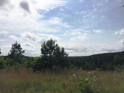 Farm Property in Decatur County, Tennessee