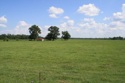 Property in Nassau County, Florida