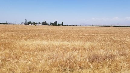 Timberland Property in Tulare County, California
