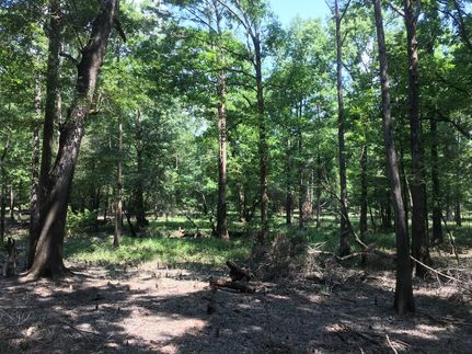 Ranch Property in Union County, Arkansas