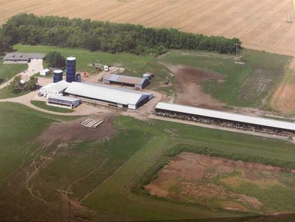 Farm Property in Lac qui Parle County, Minnesota
