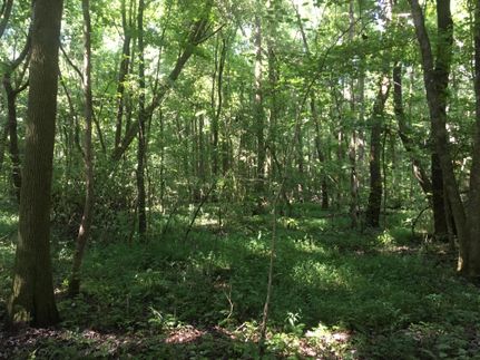 Farm Property in Lee County, Alabama