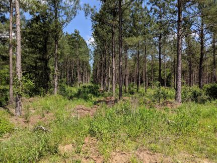 Property in Bowie County, Texas