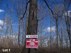 Farm Property in Monroe County, Ohio