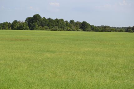 Farm Property in Houston County, Texas